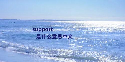 support 是什么意思中文